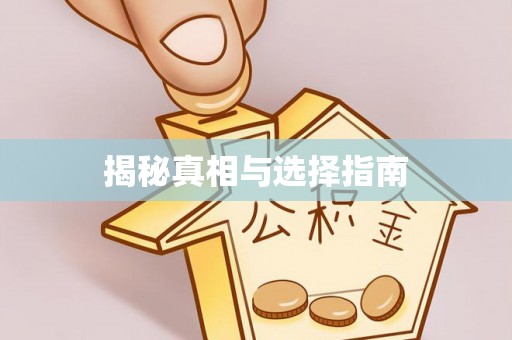 乡城揭秘真相与选择指南